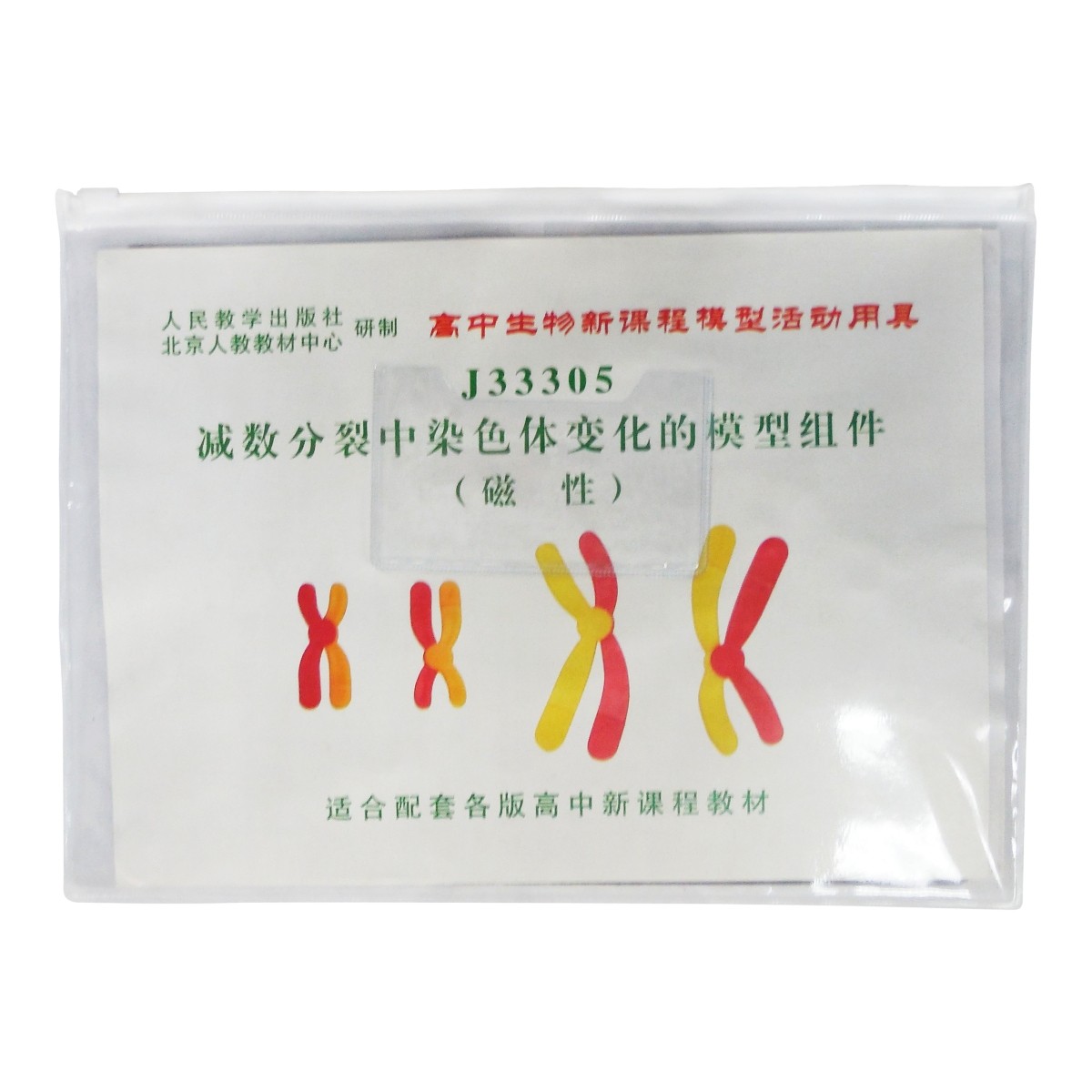 减数分裂中染色体变化模型组件