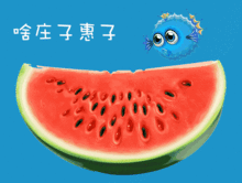 动态猪吃瓜,动态猪吃瓜，萌态十足引网友热议