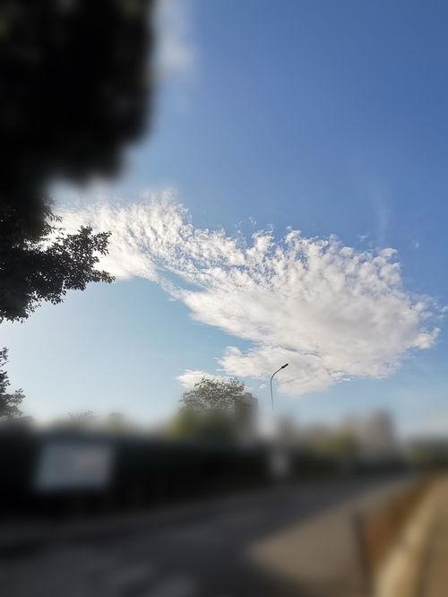 吃瓜群众飘过图片,揭秘网络热图背后的故事