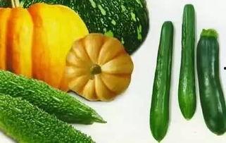 官方吃的瓜,揭秘娱乐圈幕后真相