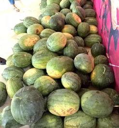 今日大瓜每日吃瓜大赛,每日吃瓜大赛，揭秘娱乐圈幕后风云